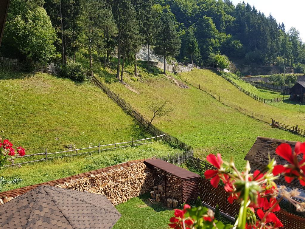 Casa Teodor Rucăr Exterior foto